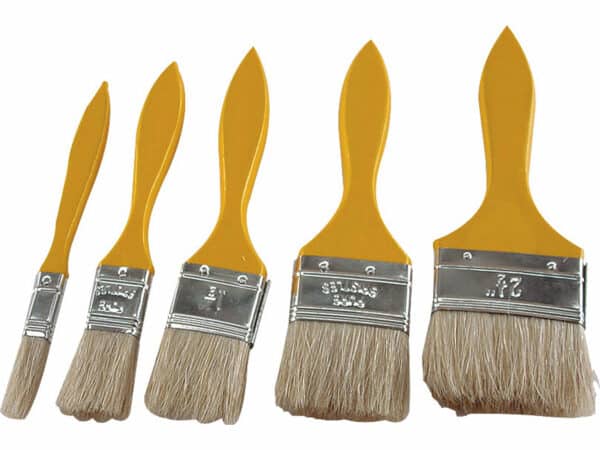 Paint Brush Set