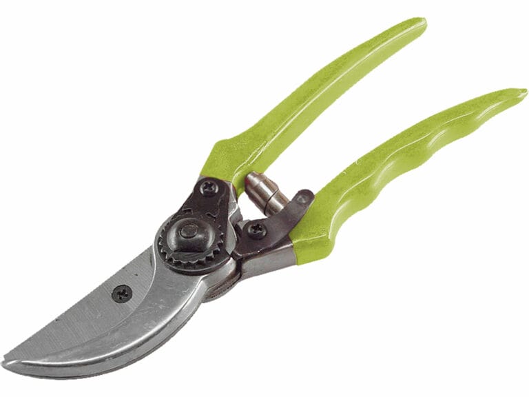 Standard Pruning Shear