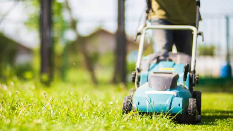 Someone mowing a grassy lawn with a blue lawn mower under bright sunlight.