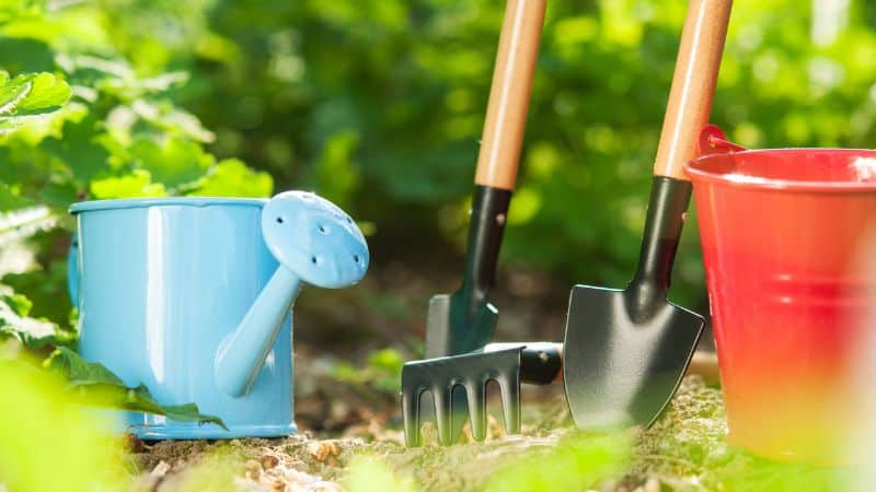 Gardening tools like a blue watering can, red bucket, and small shovels and rake lie on the ground among green plants.