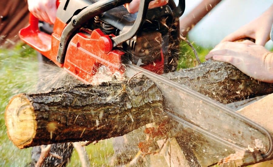 A person cuts a thick tree branch with a red chainsaw, sending wood chips and sawdust flying.