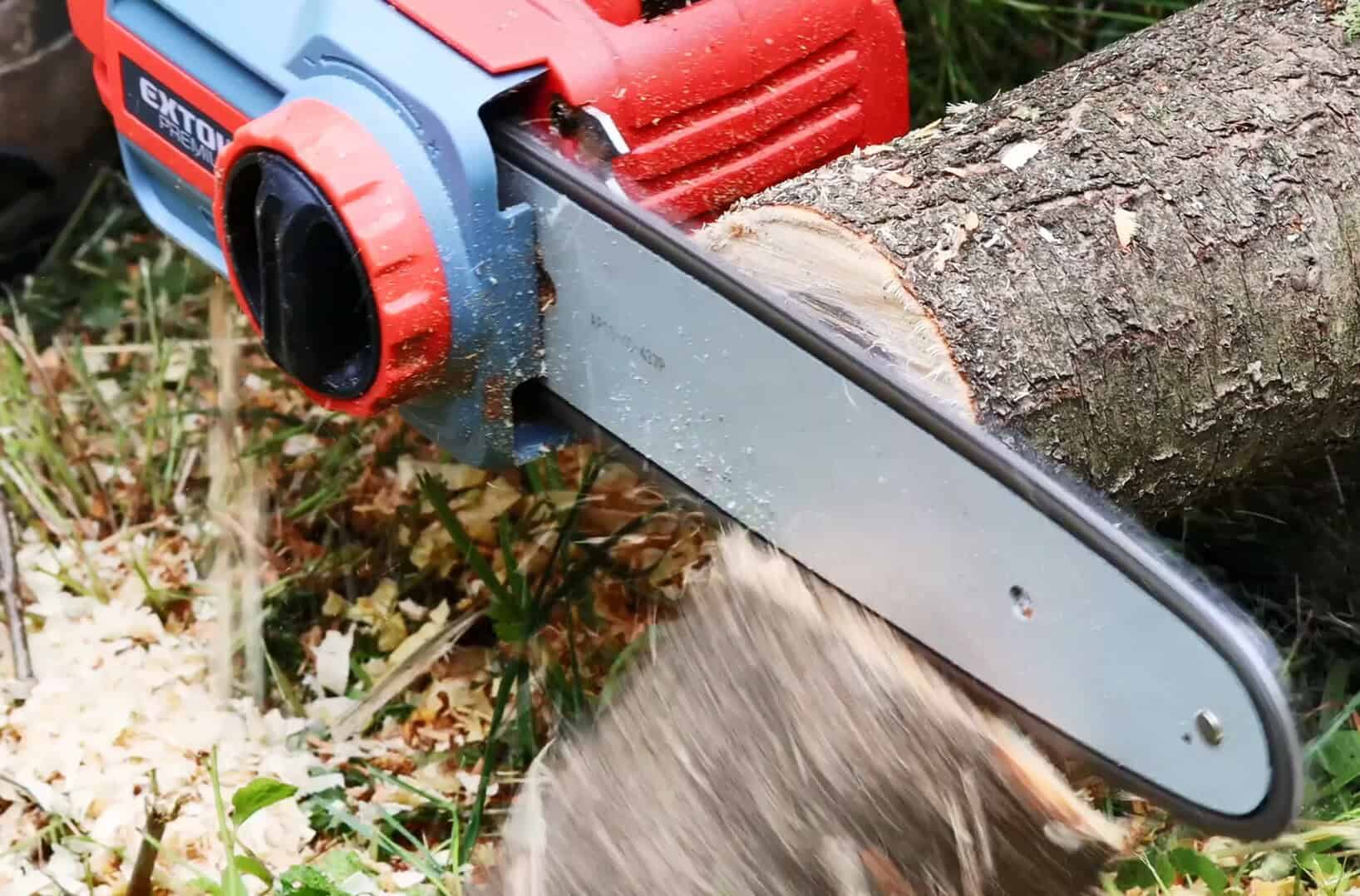 Chainsaw cuts through tree trunk; wood chips and sawdust are scattered on the ground.